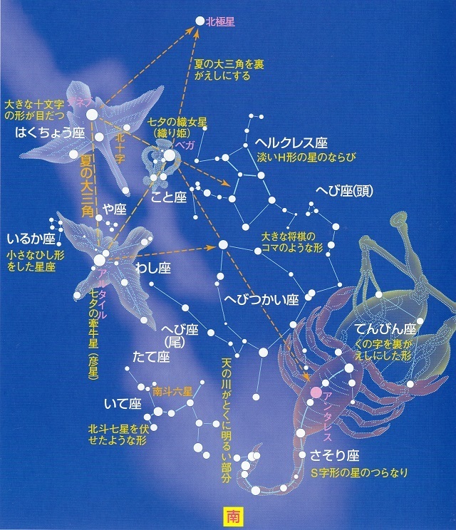 夏の星座 南の夜空に見える12星座